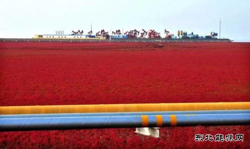 国内石油竟然这么“绿”英皇体育都不知道？