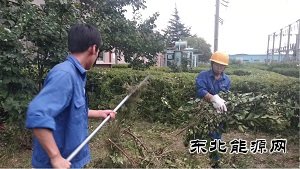 蒲白热电公司：人性化管理显担