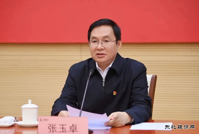 张玉卓：强化国有资本对电网等领域投入