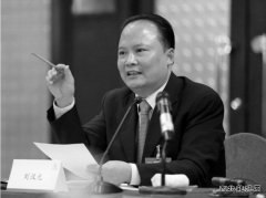 刘汉元：加快光伏产业发展 从根本上破解雾霾之困