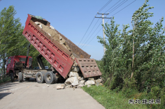 兴凯湖电业局：及时解决线路隐患 确保电网安全运行
