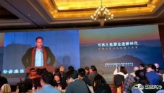 秦海岩：分散式风电搞不起来，风电就没有未来！