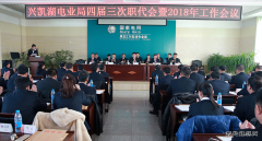 兴凯湖电业局：召开四届三次职代会暨2018年工作会议
