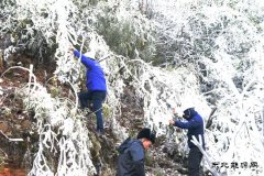 贵州新英皇体育：“冰凝”城下的战斗