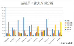 青年员工，怎样才能留住你？——基层青年员工流失原因分析及对策
