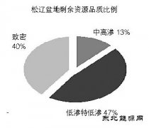 松辽盆地：迈向非常规新时代