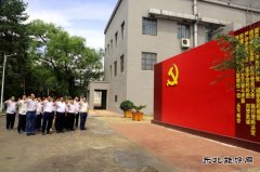佳木斯供电公司开展“做好先行官、架起连心桥”主题党日活动