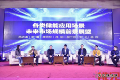 关于2019年中国储能市场走势，听听专家怎么说？