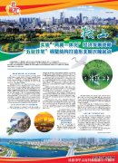 鞍山： “五业并举”打造东北振兴隆起点