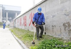蒲洲热电：绿化厂区保安全