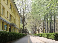 蒲白西固煤业：把“小家碧玉”打扮成“大家闺秀”促煤炭销售