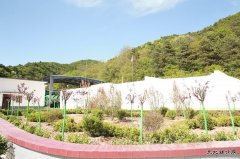建新煤化：制氮通风搬“新家” 花园风井美如画
