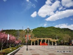铜川矿业下石节矿：文明花开香满矿山