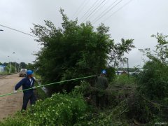 兴凯湖电业公司：盛夏全面清理树障 确保迎峰度夏、防汛安全供电