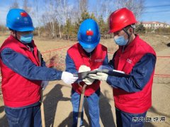 大兴安岭供电公司：激活“党建+” 为企业强“根”筑“魂”