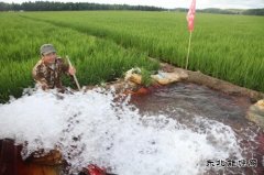 黑龙江兴凯湖电业公司：机井通电扶贫工程让农民走上幸福小康路