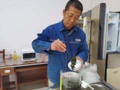 大兴安岭供电公司：电网大叔变身节约达人