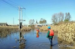 佳木斯供电公司：全力巡检线路设备，柳树岛全面恢复供电