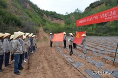 蒲白矿业技校联合党委：“党建+”引领产教融合“跑起来”