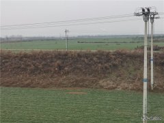 蒲白铁运公司：窗外那一片柔绿