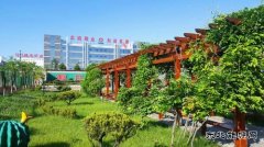蒲白建庄矿业：懂得敬畏，才是真正强大的开始