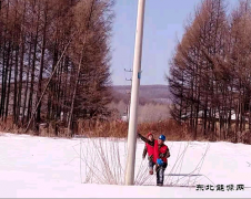 兴凯湖电业公司：最美人间三月天，踏雪巡线正当时