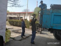 陕煤蒲白热电公司：环境清理小切口  共绘文明创建大美图