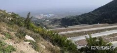 蒲洲热电公司：践行“两山”理论 倡导绿色文化 实现清洁生产