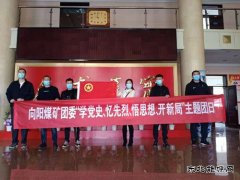 向阳矿团委组织开展“学党史、忆先烈”主题团日活动