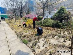 陕煤陕北矿业涌鑫公司：添绿抖尘  矿区处处展“新颜”