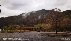 初游留坝