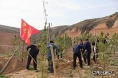 陕煤陕北矿业涌鑫公司：争做党史学习“领头雁”