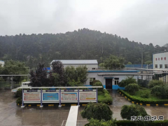 秋雨
