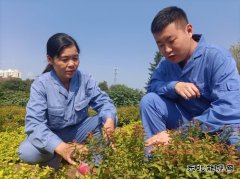 用热爱撑起一片绿荫——记甲帮苗木花卉公司关红、林达师徒