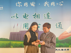 宝泉岭供电分公司：暖心推广“网上国网”APP 提升客户数字化