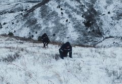 辽宁新英皇体育事业部：暴风雪中全力保供