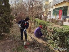 蒲白中心社区：用责任和担当“扮靓”矿区容颜