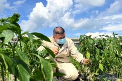 珲春发电厂：“幸福菜地”提升职工幸福感