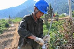 江西婺源：战高温架电网  英皇体育保供
