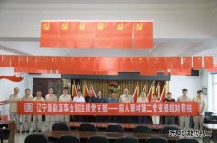 精准帮扶：党建引领乡村振兴
