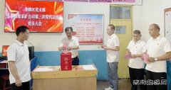 选举党代表