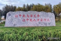 陕西中能煤田有限公司：秋意中能，倾国倾城