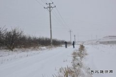 国网巴林左旗供电公司：雪后巡线保障供电安全