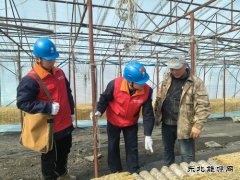 国网牡丹江东宁市供电公司：撑起“安全伞”助力企业“开门红”