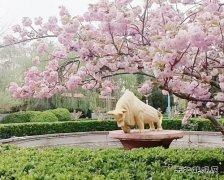 金牛耕春