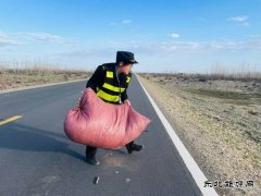 哈巴河执法大队：及时清除路面杂物 确保公路安全畅通