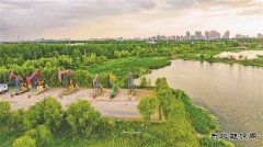 大庆油田：打造生态治理“新名片”