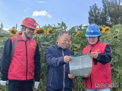 凉城供电公司：电力足向阳花盛开