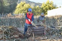 国网巴林左旗供电公司：“满格电”助力小笤帚大产业