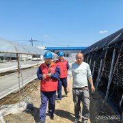 国网牡丹江东宁市供电公司：服务菌农 助力木耳产业用电安全